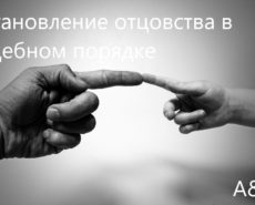 Установление отцовства в судебном порядке