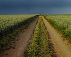 Земельні спори