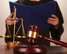 Визначення розміру аліментів у частці від заробітку (доходу) матері, батька дитини (стаття 183 СК України)