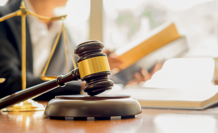 Особливості виконання судових рішень у справах, які стосуються стягнення аліментів під час дії воєнного стану. Адвокат 099-740-16-73